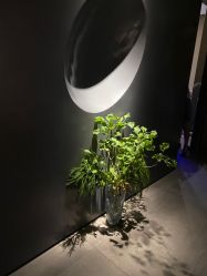 -美壹生皮肤管理中心