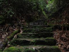 -云南屏边大围山国家公园