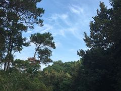 -中山市树木园