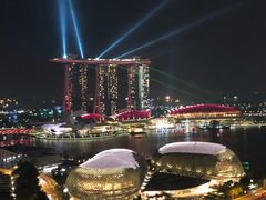 -新加坡瑞士史丹福酒店