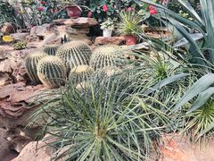 -国家植物园南园