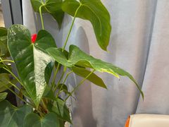 -新励成演讲口才培训(南昌东湖学训中心)