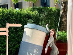 -汕头龙光喜来登酒店