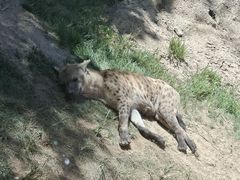 -北京野生动物园