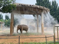 -石家庄市动物园