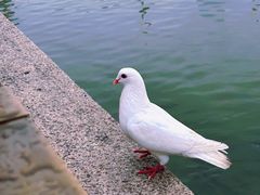 -南普陀寺