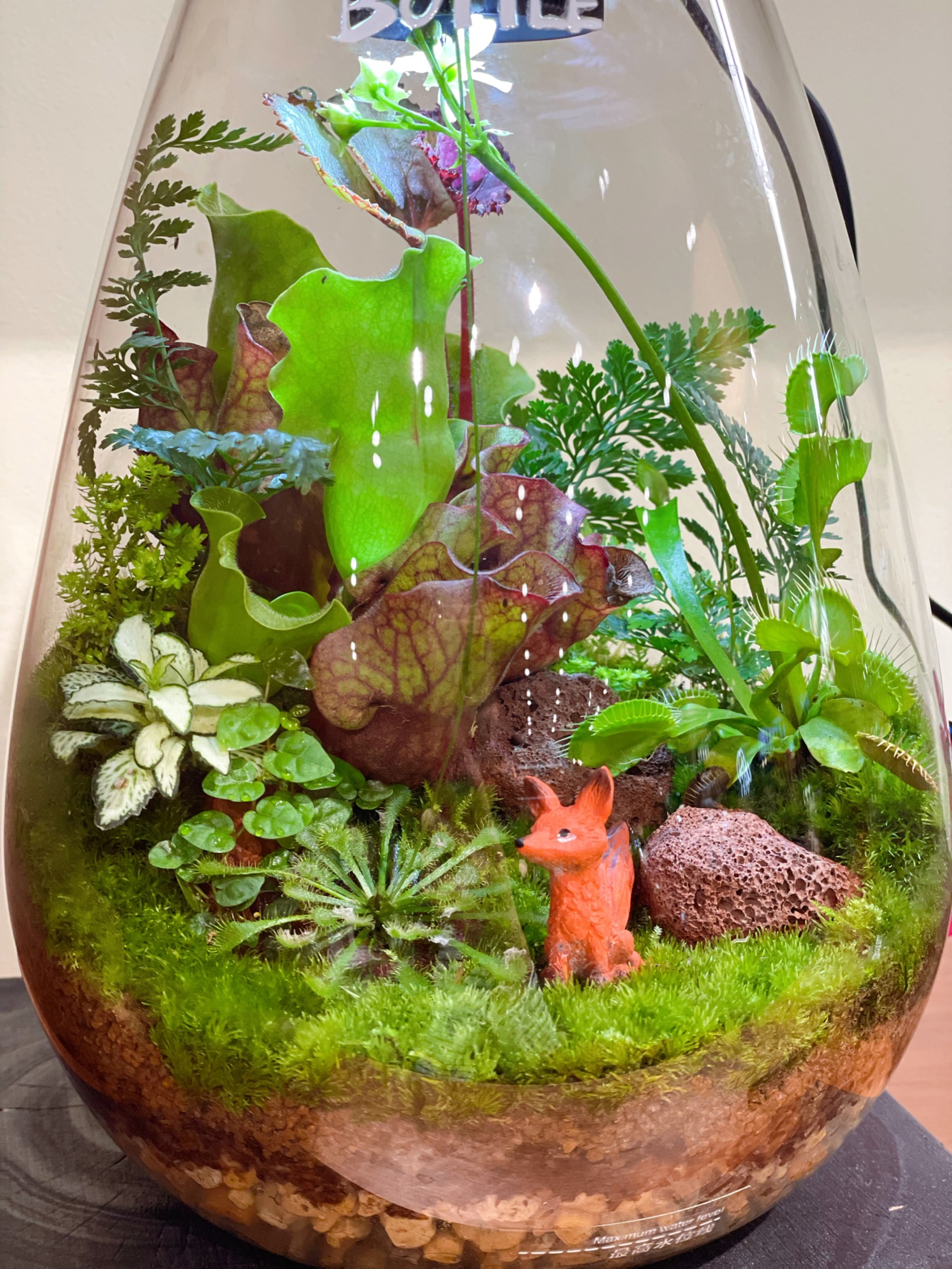 创意盆栽小世界