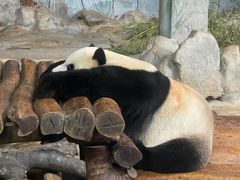 -海南热带野生动植物园