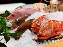 -炉胜·炉端烧·居酒屋