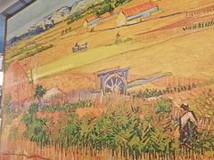 -胡须佬鸡煲四季火锅店(石厦西村直营店)