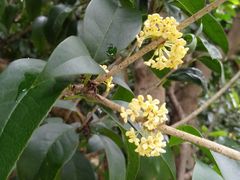 -凡老头米线砂锅(古荡新村西粮站)