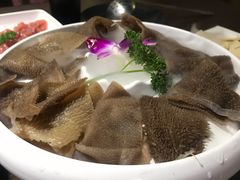 生态鲜毛肚-老诚一锅羊蝎子(黄寺大街店)