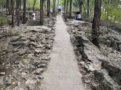 -云龙山