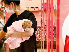 -FAELING PETS美天灵宠物(合生汇店)