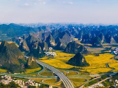 -阿毛方糕(七宝镇步行街店)