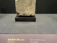 -遇见博物馆(遇见海洋沉浸式奇幻光影展)