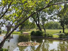 -无锡梁鸿湿地丽笙度假酒店·流觞西餐厅