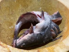 -云海肴云南菜·蒸汽石锅鱼(北京良乡华冠店)