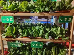 -锦上中式酒馆(南内环店)