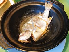 海盐焗海立鱼-百味馆·粤菜·湛江菜(后海花园店)
