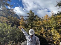 -稻城亚丁景区-冲古草甸