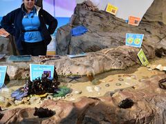 -悉尼海洋生物水族馆