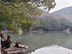 -白马涧龙池景区