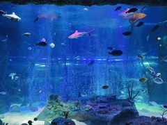 -沈阳海洋探索中心