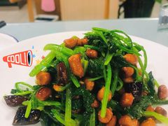 -听涛雅苑百味饺子老家菜馆