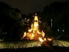 -金鸡山公园