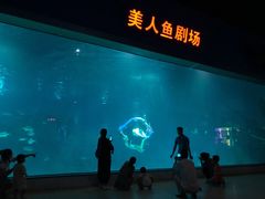 -福州罗源湾海洋世界旅游区