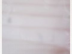 -华莱士·全鸡汉堡(沙田店)