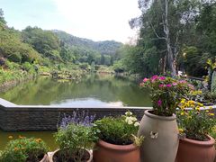 -深圳仙湖植物园