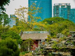 -顺峰山公园