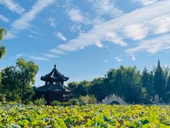 -莲池书院博物馆