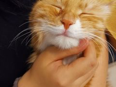 -平行世界·猫咖(首经贸店)