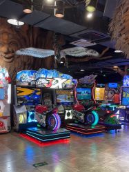 -卡通尼·Safari非洲探索乐园·生日会(金桥国际商业广场店)