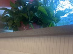 -雅佳神话·麻辣烤鱼(新街口店)