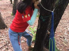 -帽儿山国家森林公园