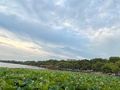 -湖畔居茶楼(湖滨店)