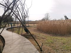 -盘龙城国家考古遗址公园