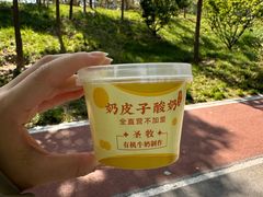 -紫光园(劲松店)