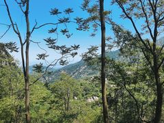-秦岭终南山世界地质公园翠华山景区