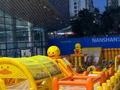 -南山文体中心-游泳馆