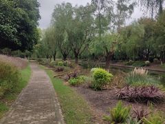 -上海鲜花港