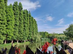 -捞渔河湿地公园
