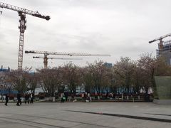 -龙美术馆(西岸馆)