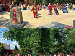 -大槐树寻根祭祖园