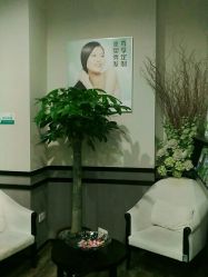 -史云逊养发护发