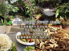 -西双版纳原始森林公园